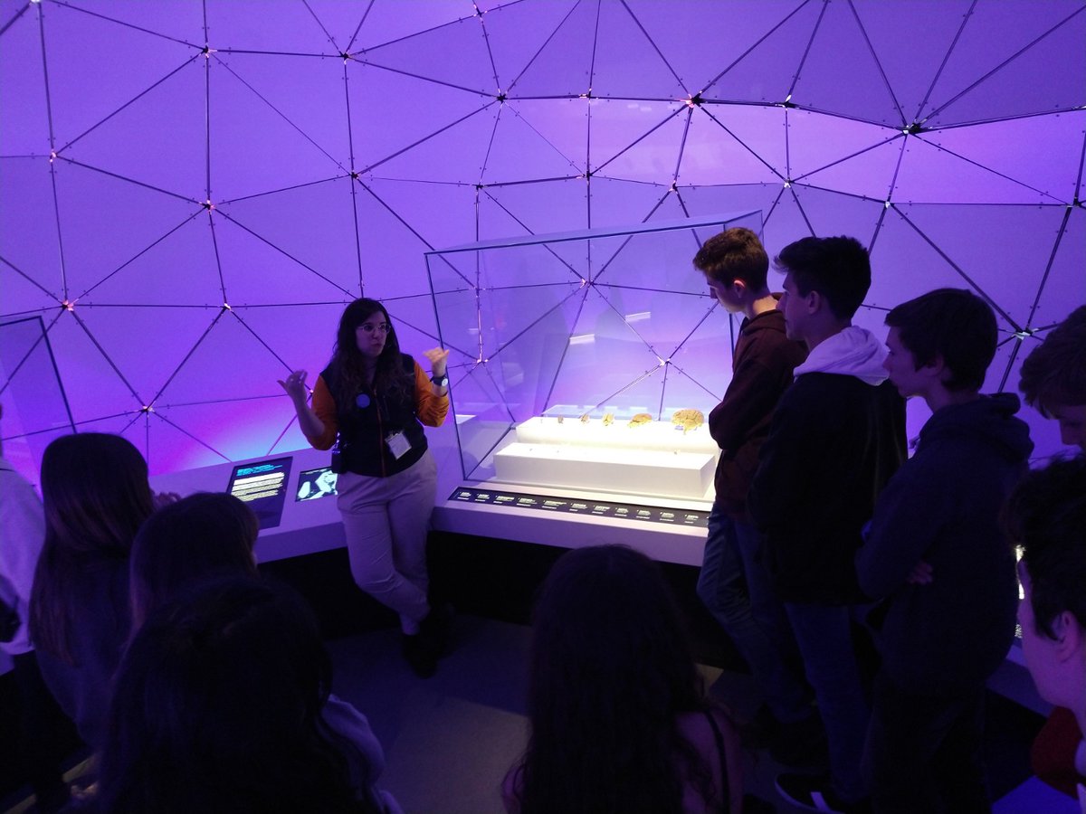 CosmoCaixa_CAT's tweet photo. Els nostres #CosmoExplainers continuen la seva formació! Avui, formant-se sobre alguns dels mòduls del museu https://t.co/JC04GN82kR