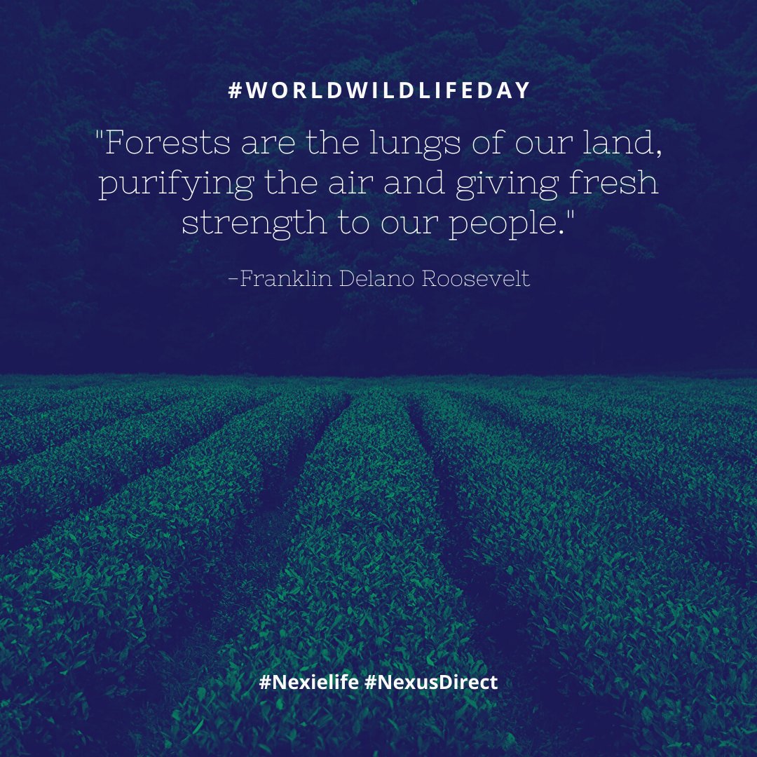NexusDirect's tweet photo. Today #Nexies are honoring #WorldWildlifeDay.
#NexieLife #NexiesWhoCare #WildLife https://t.co/29C2P4FFgv