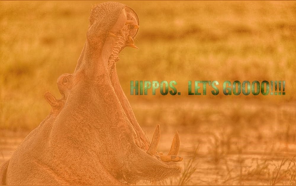 Come see Hutto Hippos in action tonight! <a href="/HuttoHippoHoops/">HuttoHippoHoops</a> <a href="/atx_hoops/">CAPITAL CITY HOOPS</a> <a href="/huttohippo/">Hippo Nation</a> <a href="/uiltexas/">Texas UIL</a> <a href="/TexasTop100/">Texas Top 100</a> @