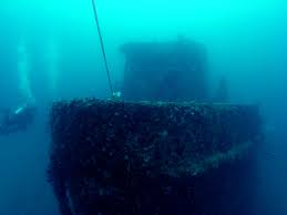 squalodivers's tweet photo. Fun Dive Trip Saturday March 7th https://t.co/iE91JUs9xB https://t.co/w8JuHcBz5N