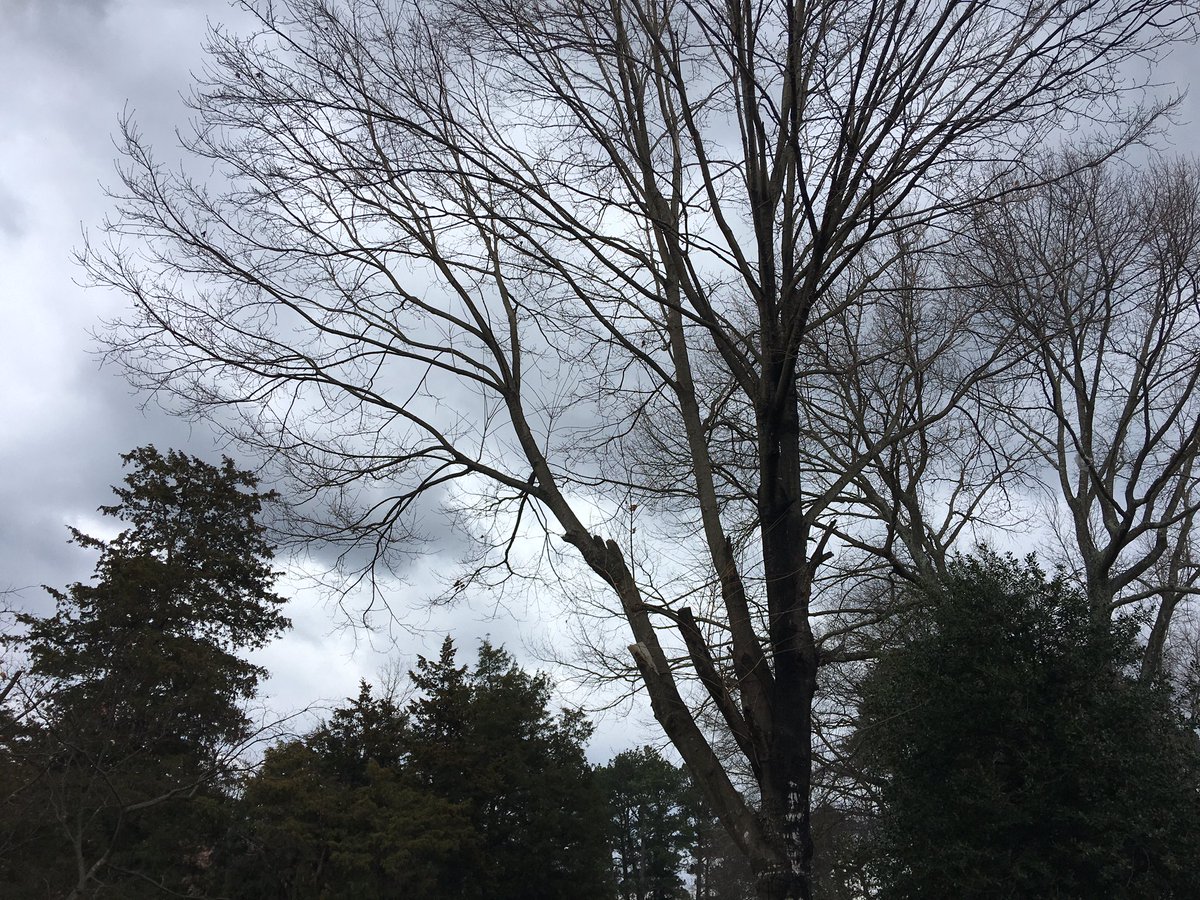 DanHubbard8's tweet photo. The weather is breaking our way today, Connor @hartigan_connor 
The rain will keep away the Bloombergers!!! https://t.co/lUbiIKDMBf