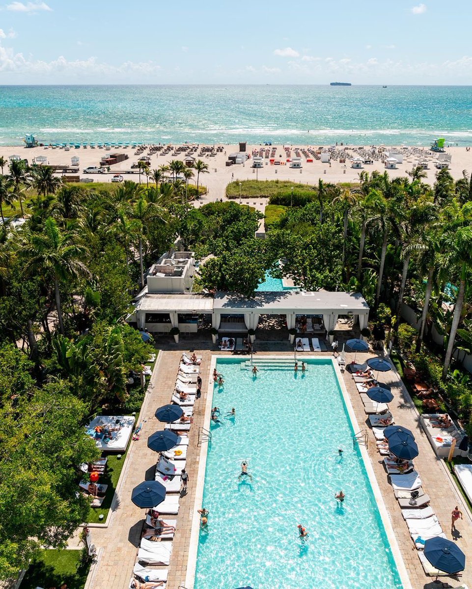 Back of House (@backofhousee) on Twitter photo Soak in the ocean views and bask in the beauty of Miami Beach. #worldofsbe #thisisbeyond | 📸: <a href="/ShoreClubSoBe/">Shore Club</a> Soak in the ocean views and bask in the beauty of Miami Beach. #worldofsbe #thisisbeyond | 📸: <a href="/ShoreClubSoBe/">Shore Club</a>