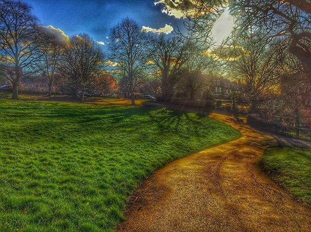 Telegraph Hill park ✴✴✴✴ #Photography #TelegraphHill #Trees #Clouds #Sky #Brockley #London #iPhone6 #ThePhotoHour #EarthAndClouds #FotoRshot #RSA_Outdoors #PhotoOfTheDay #HDR_pics #HDR_Photo #World_BestHDR #Ok_HDR #Fotofanatics_HDR #Music #CapturingB… ift.tt/2wodrDO