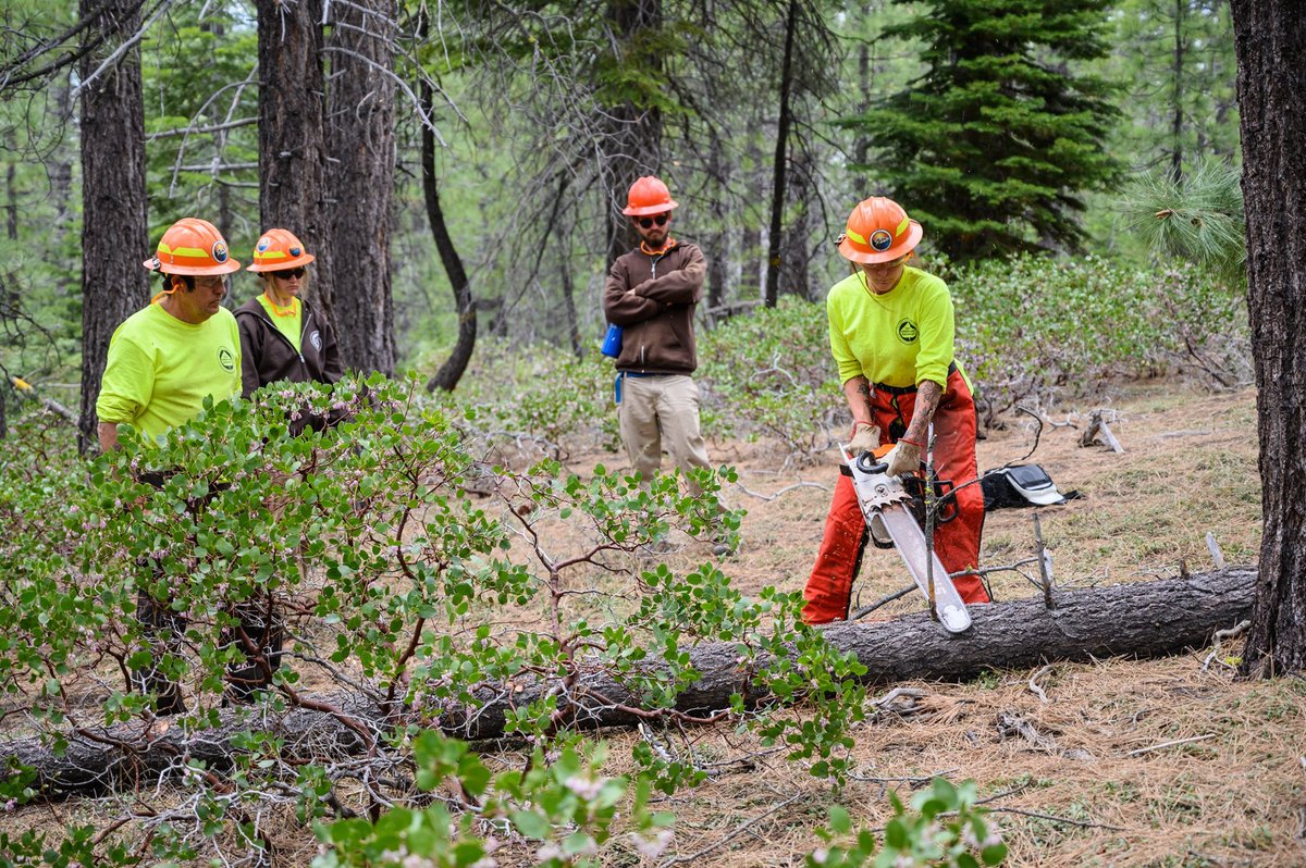 Tahoe RCD tweet media
