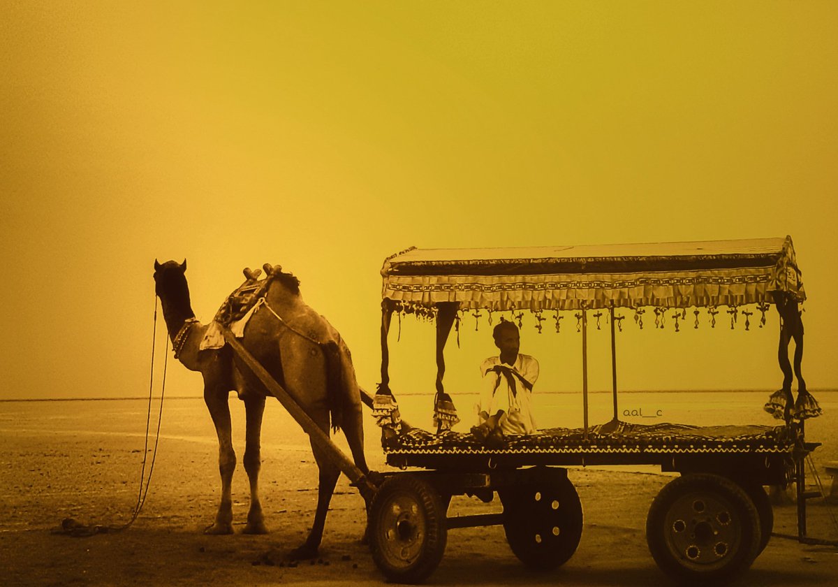 Rann Of Kutch 
@T_Street_Photo 
@MagnumPhotos 
@aperturefnd 
@NatGeoPhotos 
@streetandphoto 
@streetphotogldn 

#rannofkutch 
#streetphotography 
#bhayankarआल_c
#blackandwhitephotography 
#photographers_of_india 
#clickindiaclick 
#indiaphoto
#mumbaiphotography 
#mobilphotograp