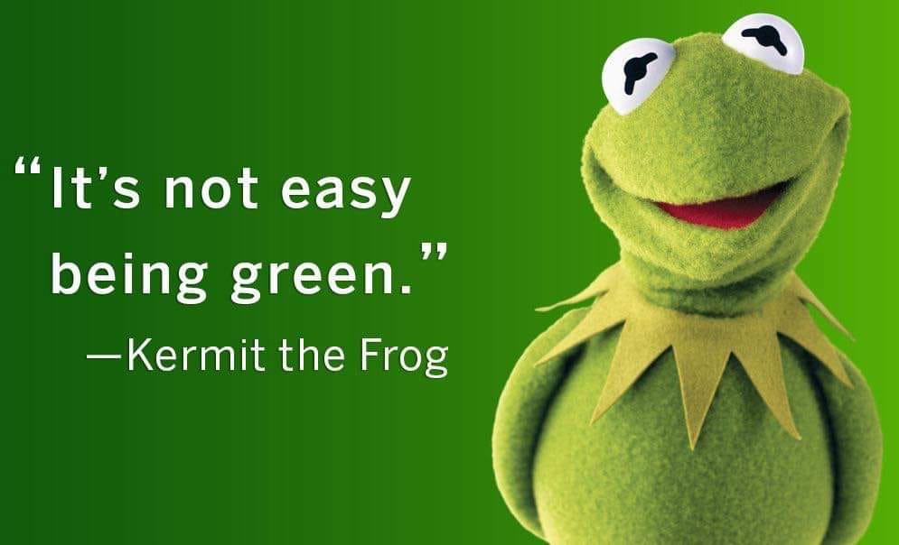 UtahDEQ's tweet photo. Although many of us make environmentally-friendly choices at home, we don’t always stop to consider the ways we could go green in our workplace. In this week's #UtahDEQBlog we offer you some simple tips to help make your workplace a little “greener.”
https://t.co/h4Yd6LXrNA https://t.co/3rygBAIr7j