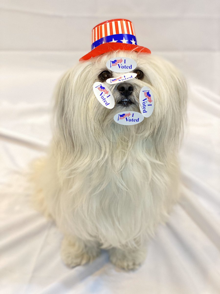 This year is the 100th anniversary of the 19th Amendment guaranteeing women’s right to vote AND the 150th anniversary of the 15th Amendment guaranteeing the right to vote regardless of race! Don’t take for granted the hard-won right and privilege we have to #vote😍#IVoted