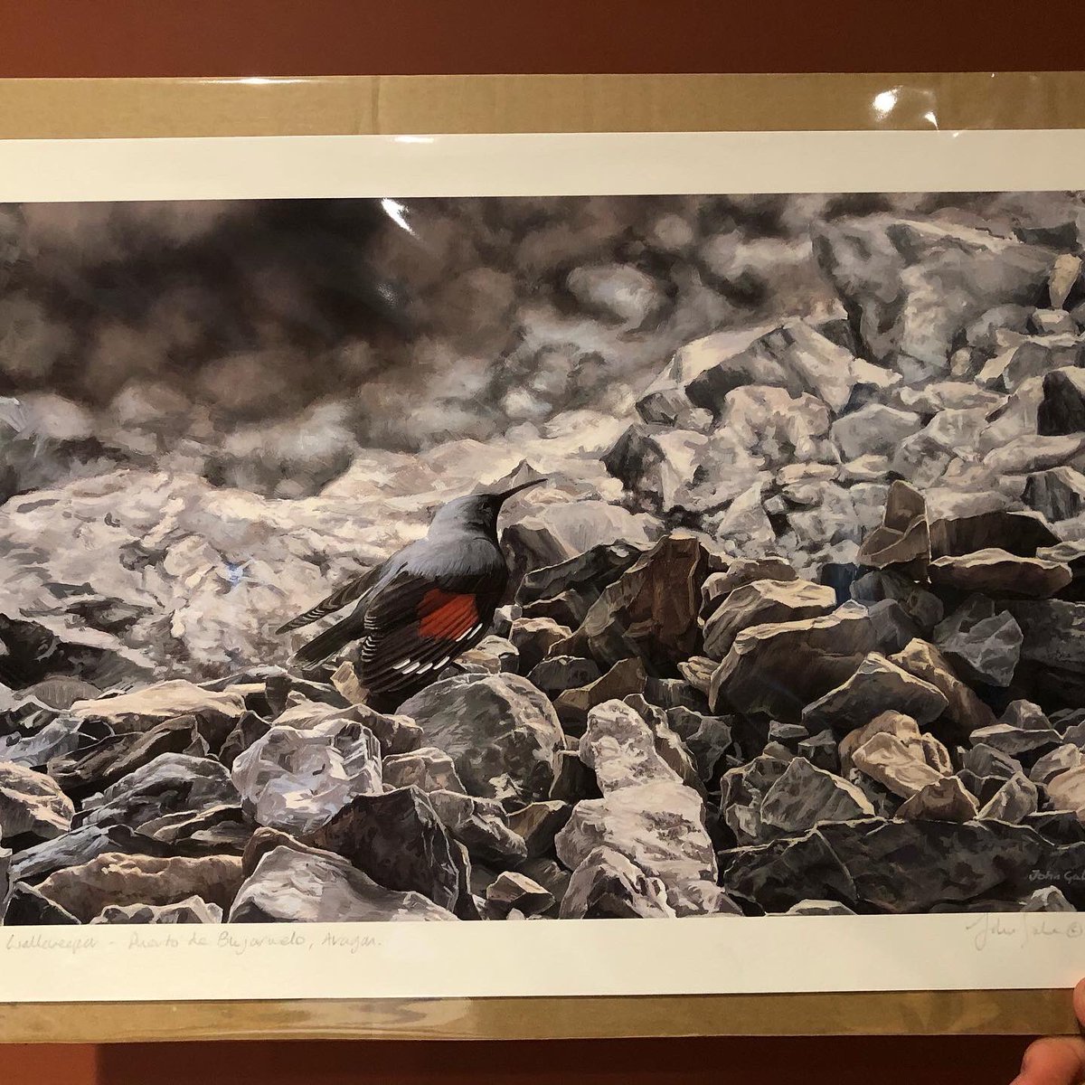 TommySaunders19's tweet photo. Some spectacular art work on auction to support the steppe eagles!! Please email - Bespolkazeissshrikes@gmail.com to place your bid for the art you like the look of!! All the money will be going towards the protection and research in to the declining steppe Eagle! https://t.co/bvEPvlLeVZ