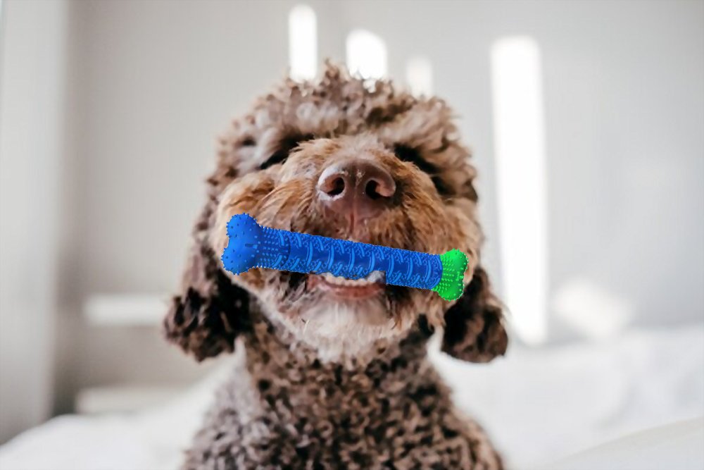 Dental care for dogs are costly and usually performed every 6 to 12 months. That’s why your dog needs Chewbrush™, the self-brushing toothbrush for dogs. #chewbrush #brightideas #innovation #pets #dentalcare #bulbhead #bulbheadinternational SHOP: 🐕 bit.ly/bhichewb