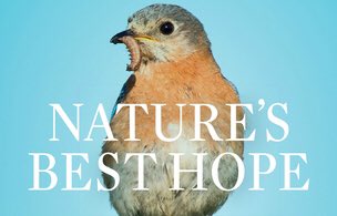 GNPSociety's tweet photo. A native plant book on the NYT best seller list? Yes, Doug Tallamy! https://t.co/SFJqyqmHnB Now you can be #naturesbesthope #plantsgivelife https://t.co/64eB25QF0H