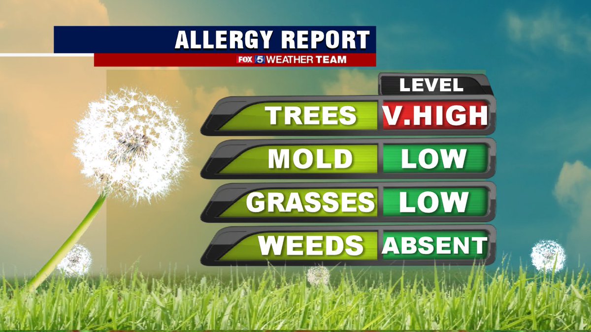 Wow tree #pollen very high in the #dmv! Our microbiologist who does the count says this is the highest tree pollen count  for the 1st week in March going back to 1998! Maybe that's why you're sneezing!
