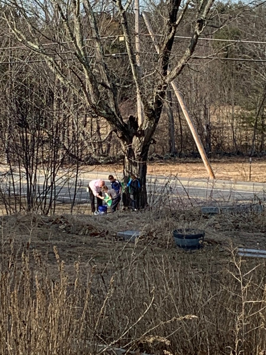 NewfieldsElem's tweet photo. NES Grade 4 students are lending a helping hand to our friends at Lincoln Street School by collecting sap from our maple trees that LSS will turn into "liquid gold!" The sap was running in Newfields today! https://t.co/tOT08DqPVa
