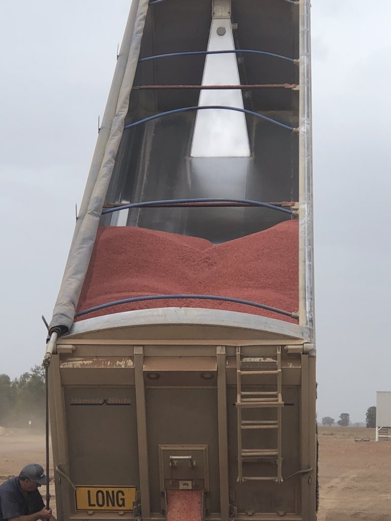 blake_tennyson's tweet photo. Biocoat colorless, keeping equipment clean & reducing dust. Products x2 , Biocoat colorless 2lt. No water.
28 ton of wheat treated. ✅ https://t.co/zOWNuDNlLd