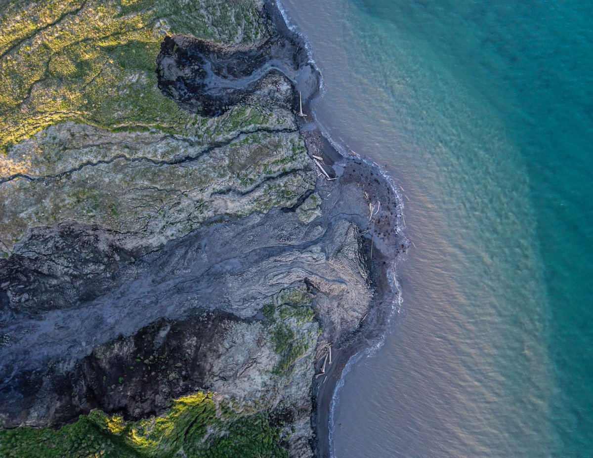 dartmouth's tweet photo. In collaboration with @InsideNatGeo, a global research team—co-led by @DartArctic Fellow Jeff Kerby (@JTKerby) &amp; Isla Myers-Smith (@IslaHMS) from @EdinburghUni—examines how climate change is making the Arctic greener. Learn more: https://t.co/rNgUsdYavL

Photos by Jeff Kerby https://t.co/cOGlxsPyRX