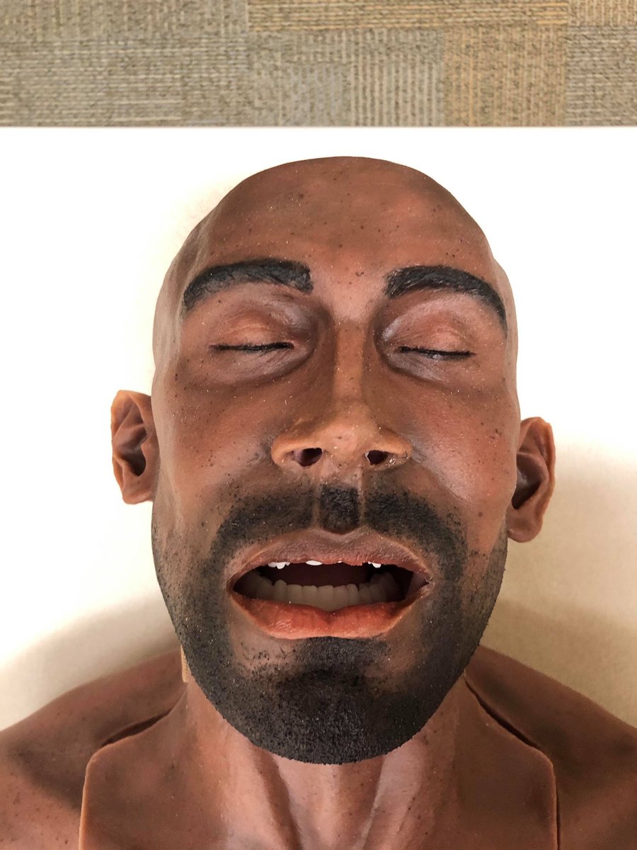 7S3Medical's tweet photo. Join #7S3medical at #emstoday in booth #627 with #karlstorz! The best with the best! https://t.co/GBJCVeoNOa