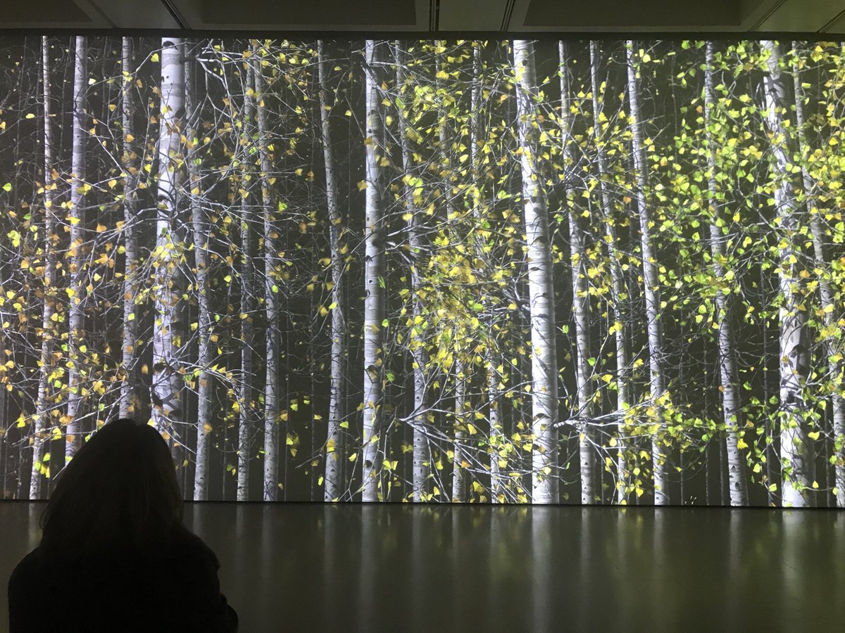 FionaNHughes's tweet image. #AmongTheTrees ⁦@haywardgallery⁩