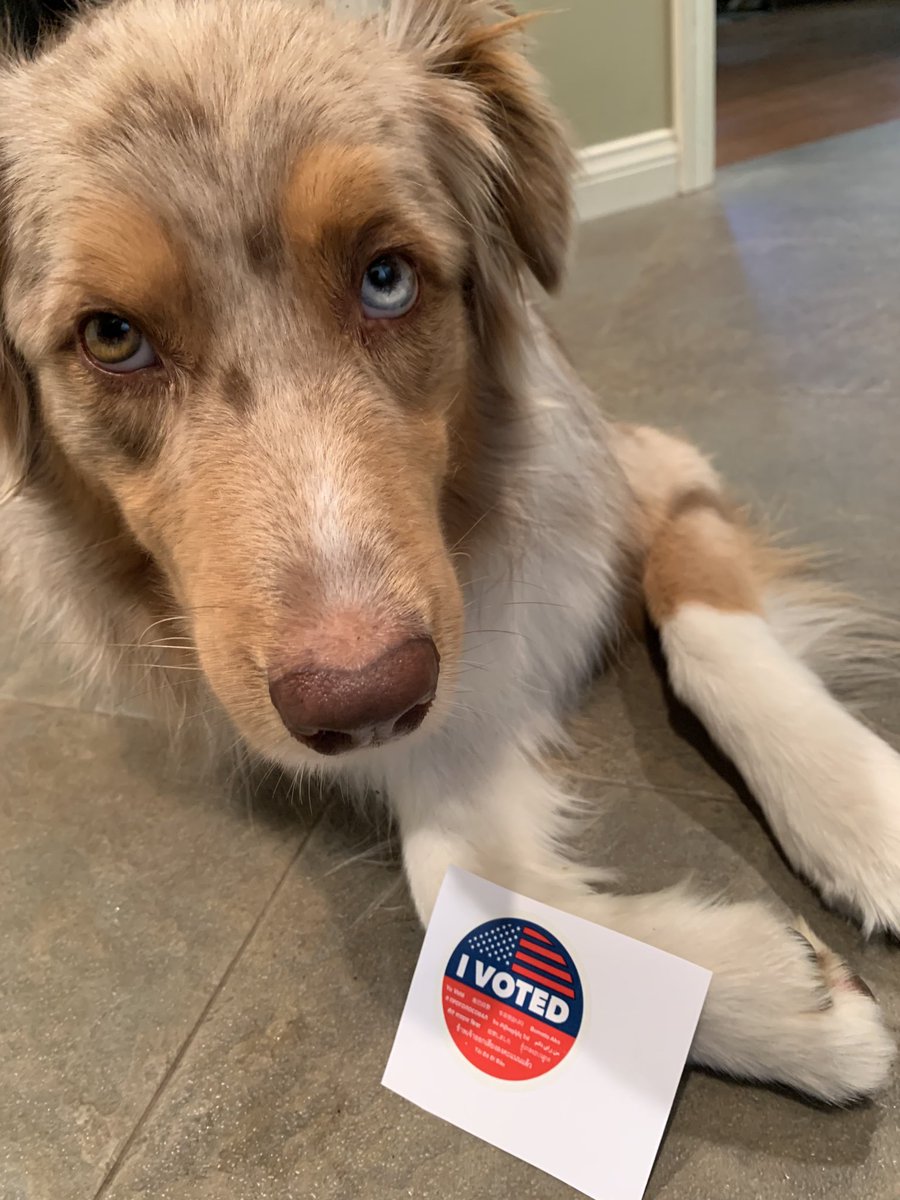 DebbyStegura's tweet photo. We voted! ⁦@YesOnProp13⁩ ⁦ #UCVotes https://t.co/gBEonTDUxq