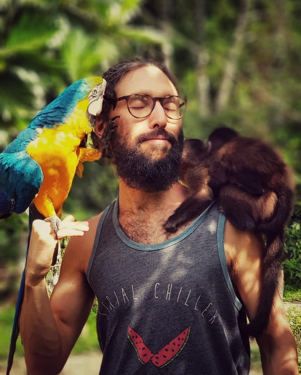CanRau's tweet photo. 🦜Some impressions from where I work and live 🌴

More pictures at https://t.co/AiwZ9HgX2G https://t.co/GN0wl4Gsn8