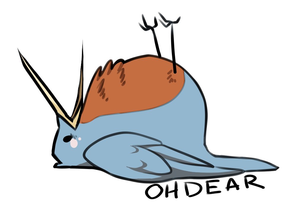 Birbs14's tweet photo. Oh Dear https://t.co/whhcAiny5S