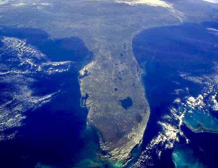 SandySellsHomes's tweet photo. Happy 175th Birthday to my beloved state — #Florida, the Sunshine State! #SandySellsFlorida https://t.co/tTl0MHLrgN