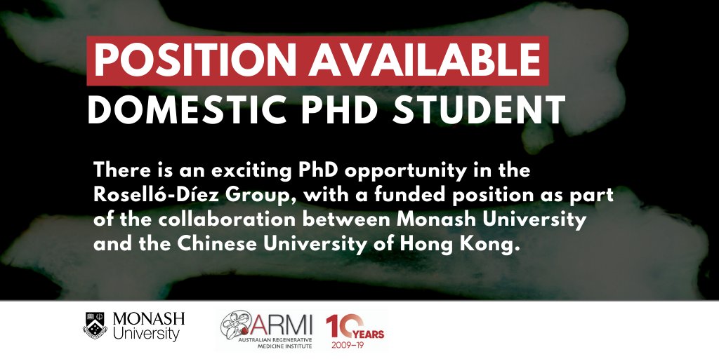 ARMI_Labs's tweet photo. Want to undertake a PhD with at ARMI and @MonashUni, and @CUHKMedicine? The @RoselloDiez has a funded PhD opportunity for a prospective domestic student! For more details & info on how to apply, visit https://t.co/y1FghjT4ZE #regenmed #nextgenregen #phdlife #phdchat https://t.co/nTdArDO6tE