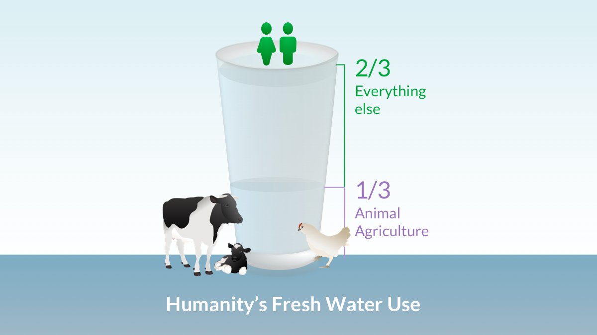 Animal Agriculture uses 1/3 of humanity's fresh water

Only 4% of global fresh water is for use at home.
bit.ly/32NlA0F
