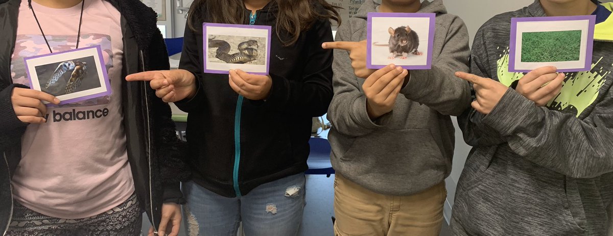 PioneerScience5's tweet photo. Food chains in Science class today. How does the energy flow??
@EKD_Elementary @ECISDScience #ECISDscienceROCKS https://t.co/XlzdnlzCv6