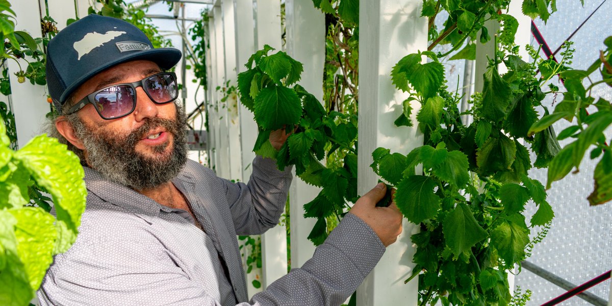 UncommonCarib's tweet photo. #StCroix has a long #history of #agricultural prowess, but #DYK that it's currently home to the #FarmoftheFuture? #FarmPod is a #revolutionary #aquaponic #foodproduction system capable of 100+ lbs of fresh produce/wk (min)! https://t.co/1UKiHkkia0 #StCroixVibes @USVItourism https://t.co/a3nRFVQnTh