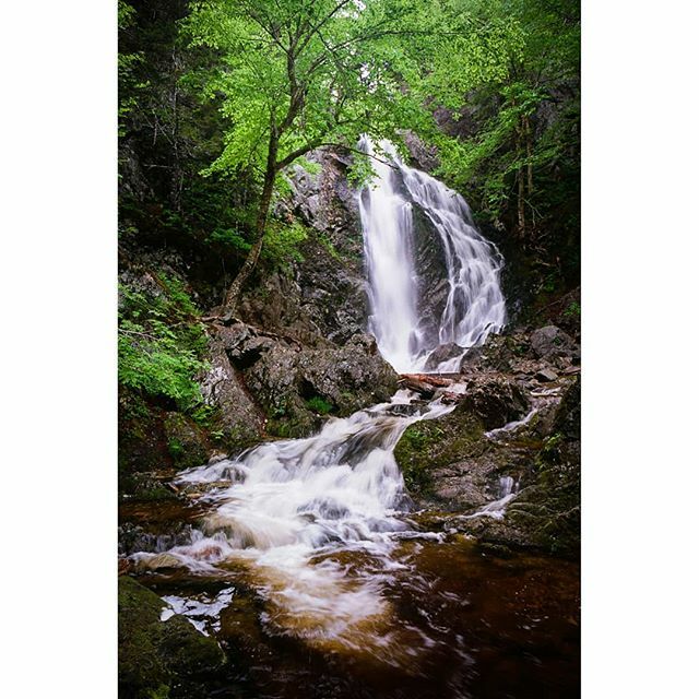 BrianWalsh12's tweet photo. Any film people have any tips for ektar? I find when it's good it's great but I don't usually get consistant results. I'm hoping to try a few more rolls this summer. -
-
📸: Minolta x-700
🎞: Ektar 100
-
-
-
-
-
#drivebyfilm #shootfilm #filmisalive #an… https://t.co/XEpmDJQwk4 https://t.co/KfhBEw7V4w