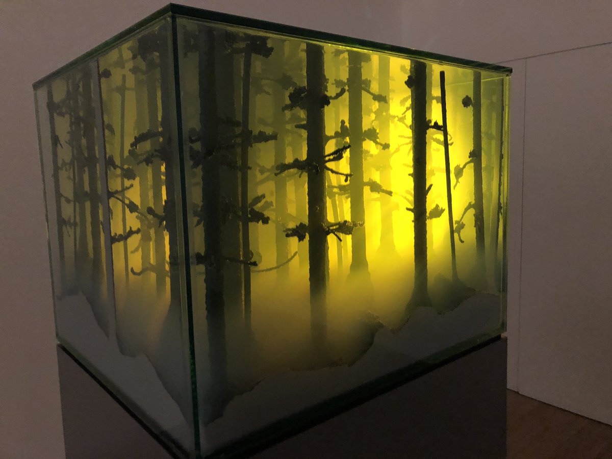 AliceWSharp's tweet image. ‘Can’t see the wood for the trees’ @Ralphrugoff’s new @haywardgallery exhibition inc. wonderful Mariele Neudecker tank &amp;amp; Kazuo Kadonaga split tree
#AmongTheTrees @southbankcentre @BobandRoberta