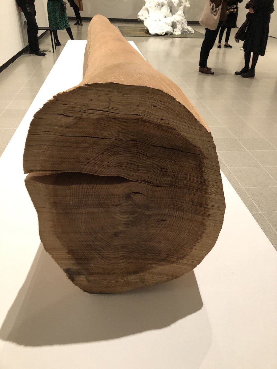 AliceWSharp's tweet image. ‘Can’t see the wood for the trees’ @Ralphrugoff’s new @haywardgallery exhibition inc. wonderful Mariele Neudecker tank &amp;amp; Kazuo Kadonaga split tree
#AmongTheTrees @southbankcentre @BobandRoberta