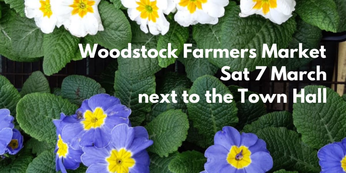 Woodstock Farm Mkt tweet media