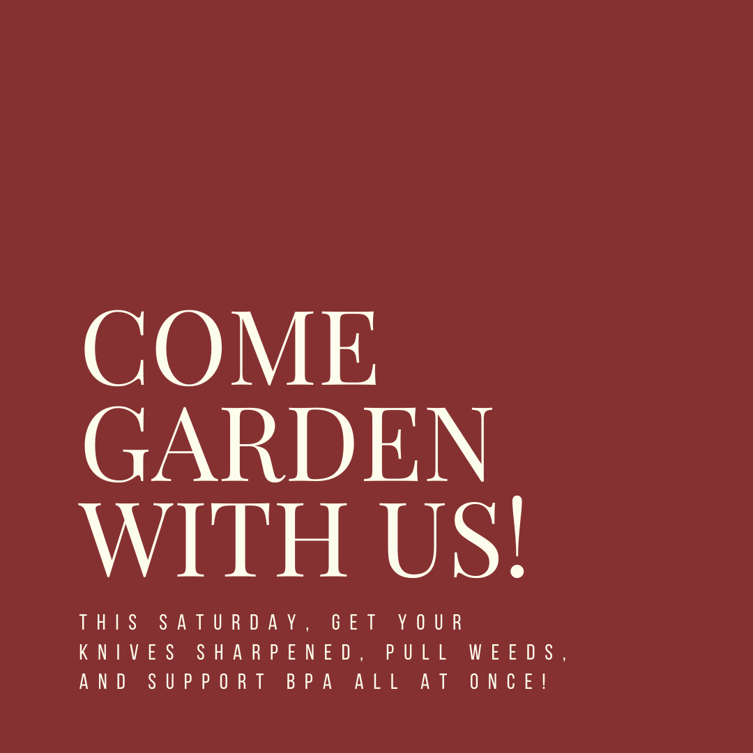 THIS Saturday, get your knives sharpened, pull weeds, and support BPA all at once! Plus we have Coronavirus news, Runfest details, and more, all in this week's newsletter. Read it here: mailchi.mp/25d3c6113c48/b…