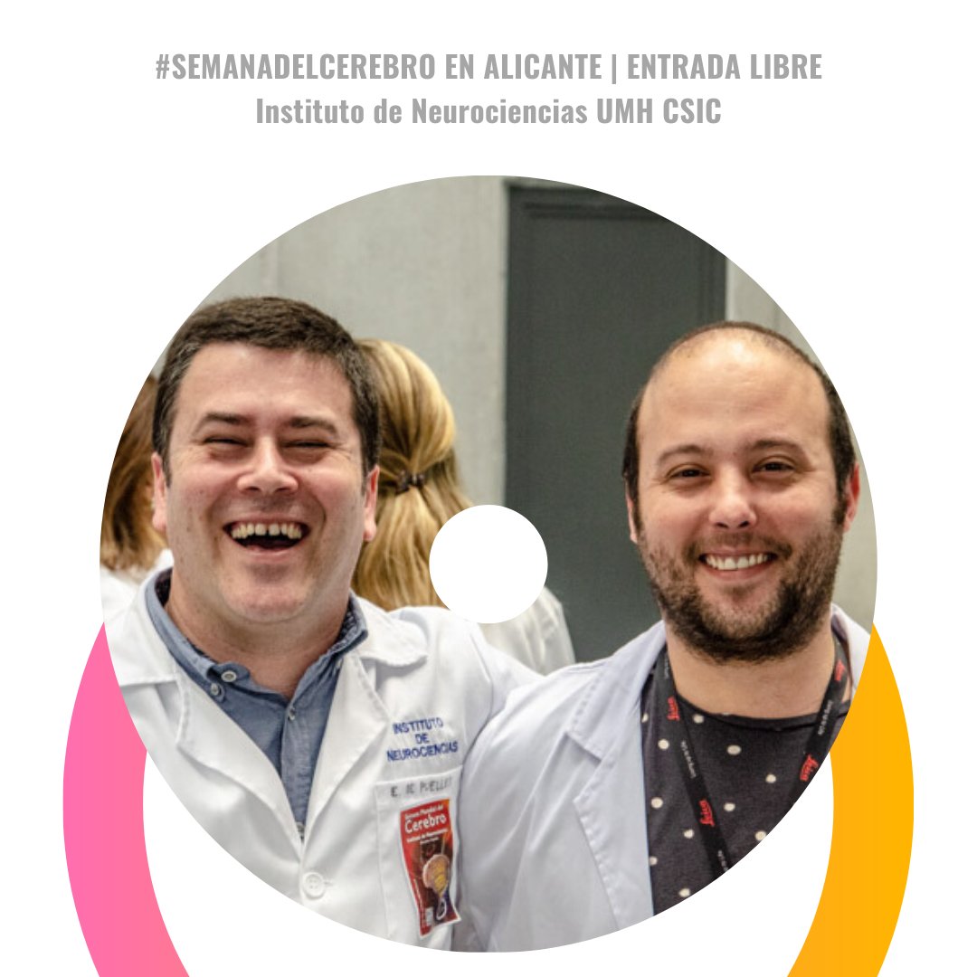 Estamos poniendo a punto nuestra mejor sonrisa para recibirte durante la #semanadelcerebro de #Alicante.
Tú pones la curiosidad y nosotr@s la diversión 👩‍🔬👨‍🔬
