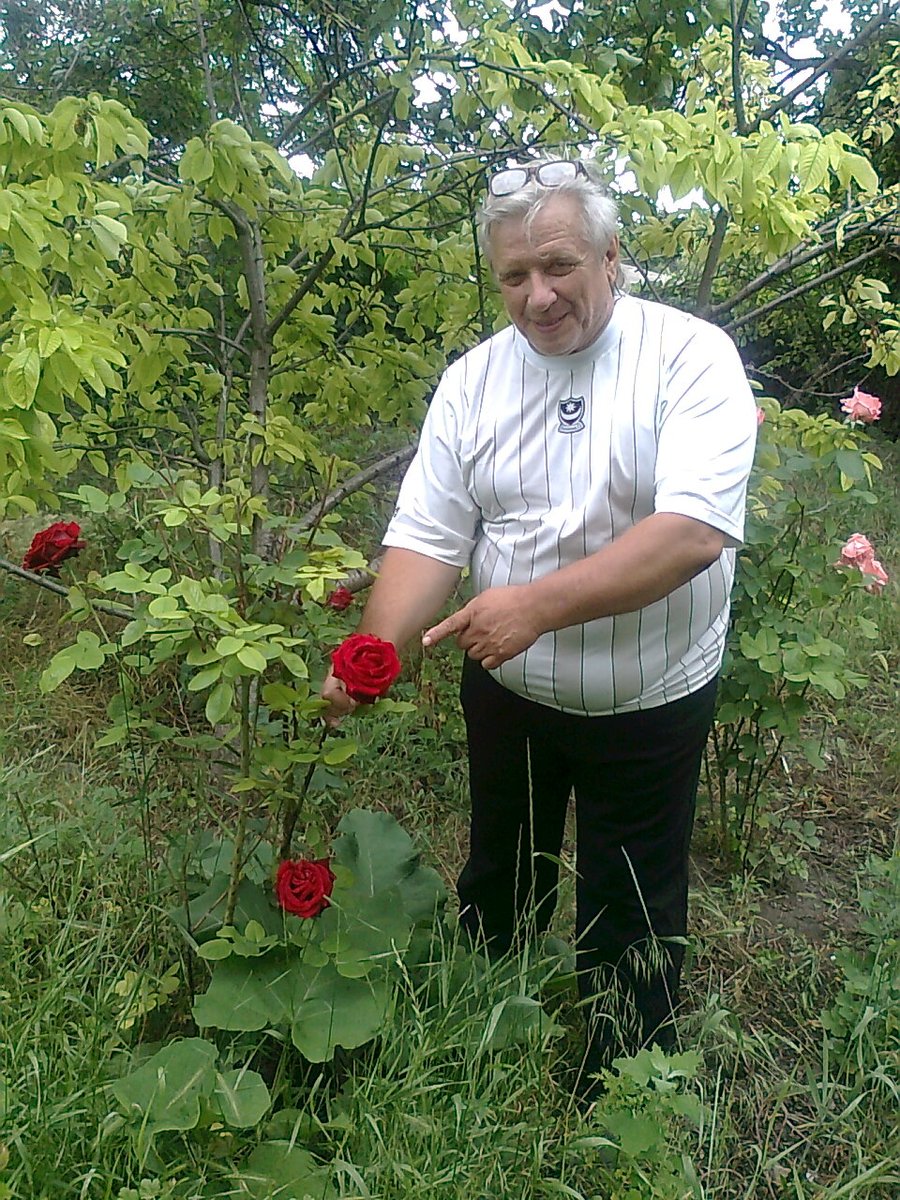 Василий Павлович (@kulibin64) on Twitter photo 