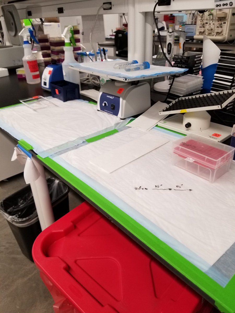 UhrhanSTEM's tweet photo. Novel Engineering @CortexSTL today. So many great ideas. https://t.co/iGxkcdHm55