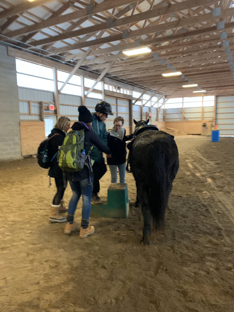 Horseback riding at camp Fitch. #onceacard