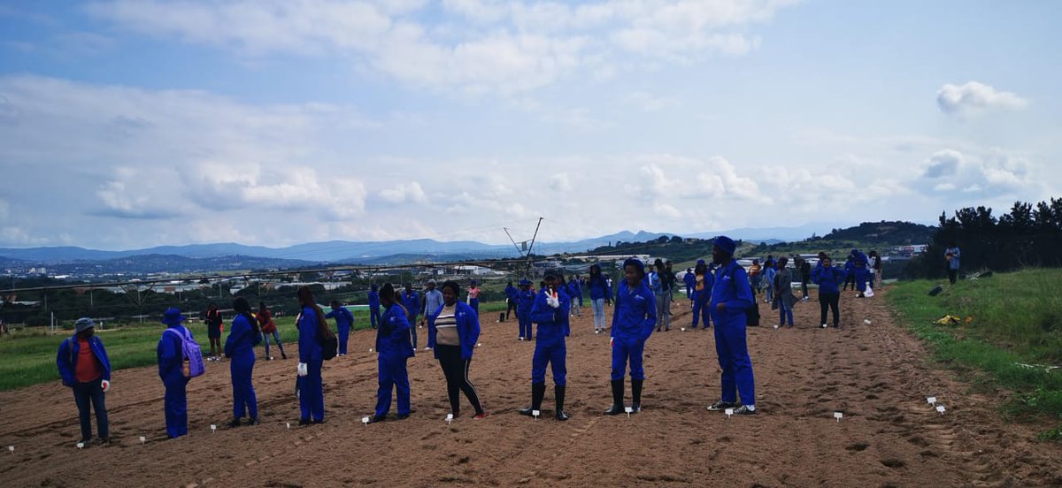 JefFrey_Mmopane's tweet photo. We are Farmers😍🤩 https://t.co/nuqq3if5Ed