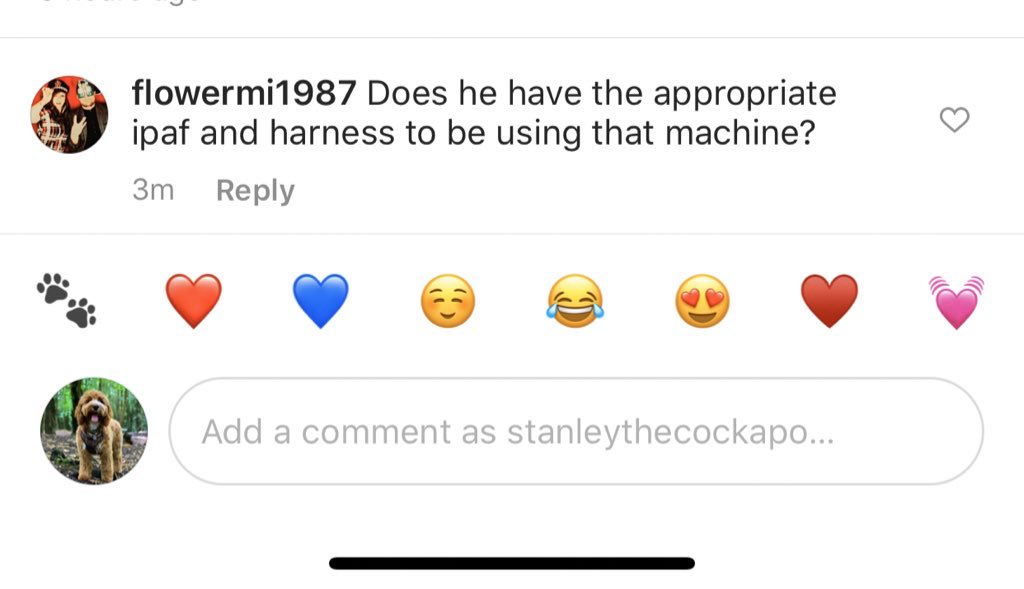 So I put a cute photo of my dog on his Instagram and I’m getting very serious responses 😂😂

Is it just me who can see that this is clearly a dog...?

#itsajoke #cutepuppy <a href="/IPAForg/">IPAF</a>