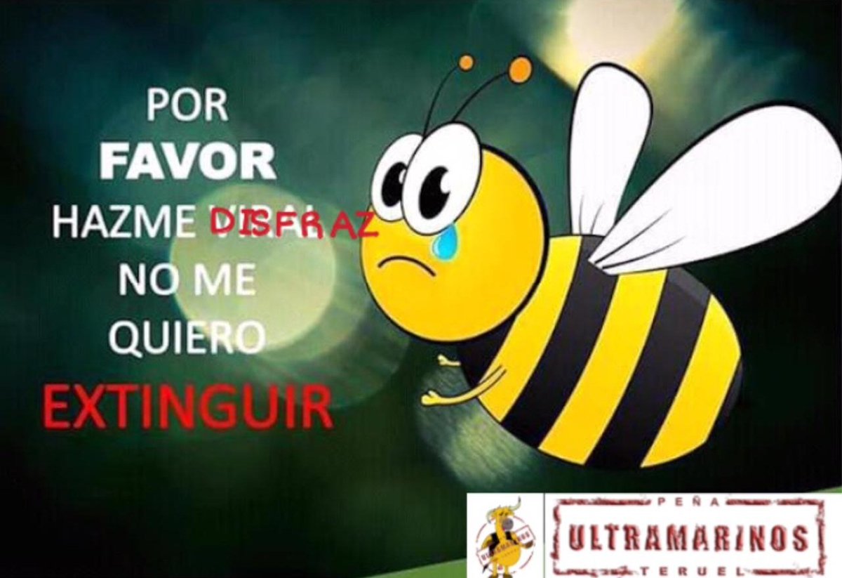 Hola a todxs!! Ya tenemxs temática del disfraz!!! *ABEJAS!!!* 🐝🐝🐝🐝
Así que ya podéis poneros a darlo todo por la colmena!