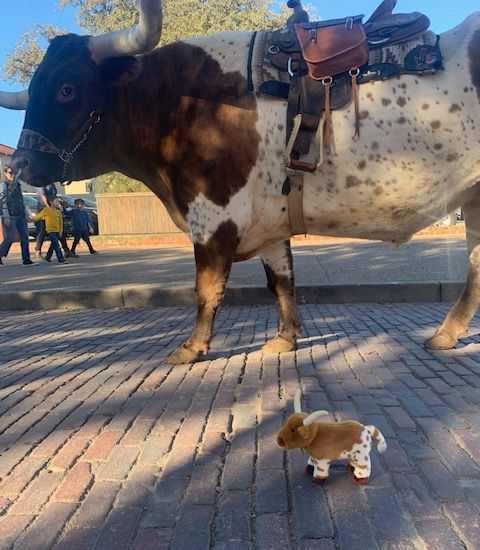 Want to win an adorable stuffed longhorn plush like this one? Enter now in our GIVEAWAY! Winners will be chosen every day from now until March 23.

How to enter:

1. Click this link: fortworthstockyards.com

2. Scroll down &amp; fill out the entry form, then submit!
