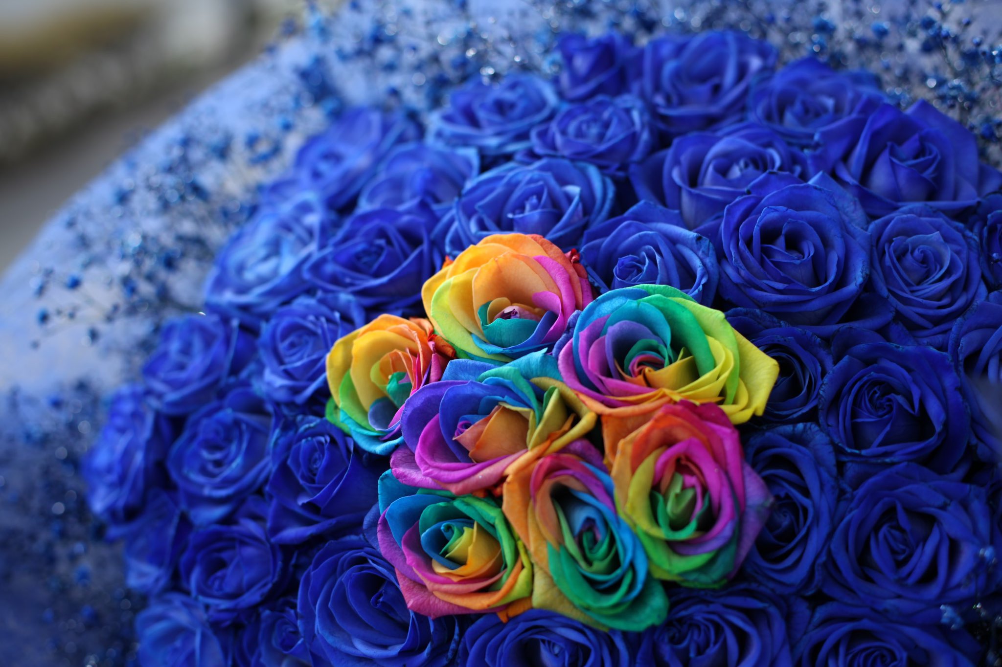 ローズショップ 60本の青いバラの中央にレインボーローズを７本 ７本のバラには 密かに愛しています という意味があります オランダのバラに思いを託して ご希望の本数で束ねます 日時指定で発送出来ます T Co Ylwiqrtutn T Co