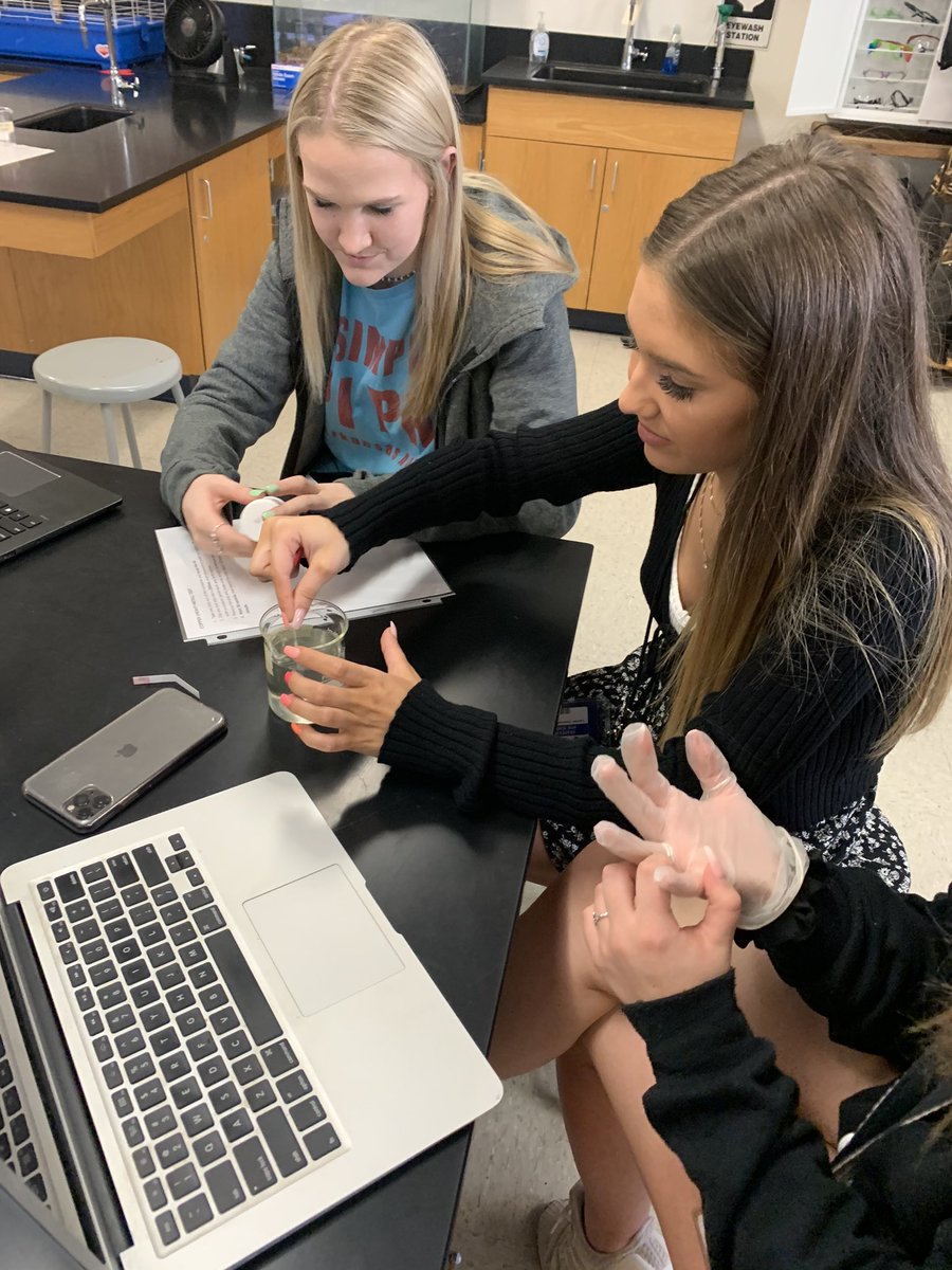 burtonbiology's tweet photo. Water Quality Testing with various student samples. Big thanks to @grapevineptsa for the grant to purchase a conductivity/salinity meter! π¦ #ghsapes #ghsunity https://t.co/Jge1QD88IG