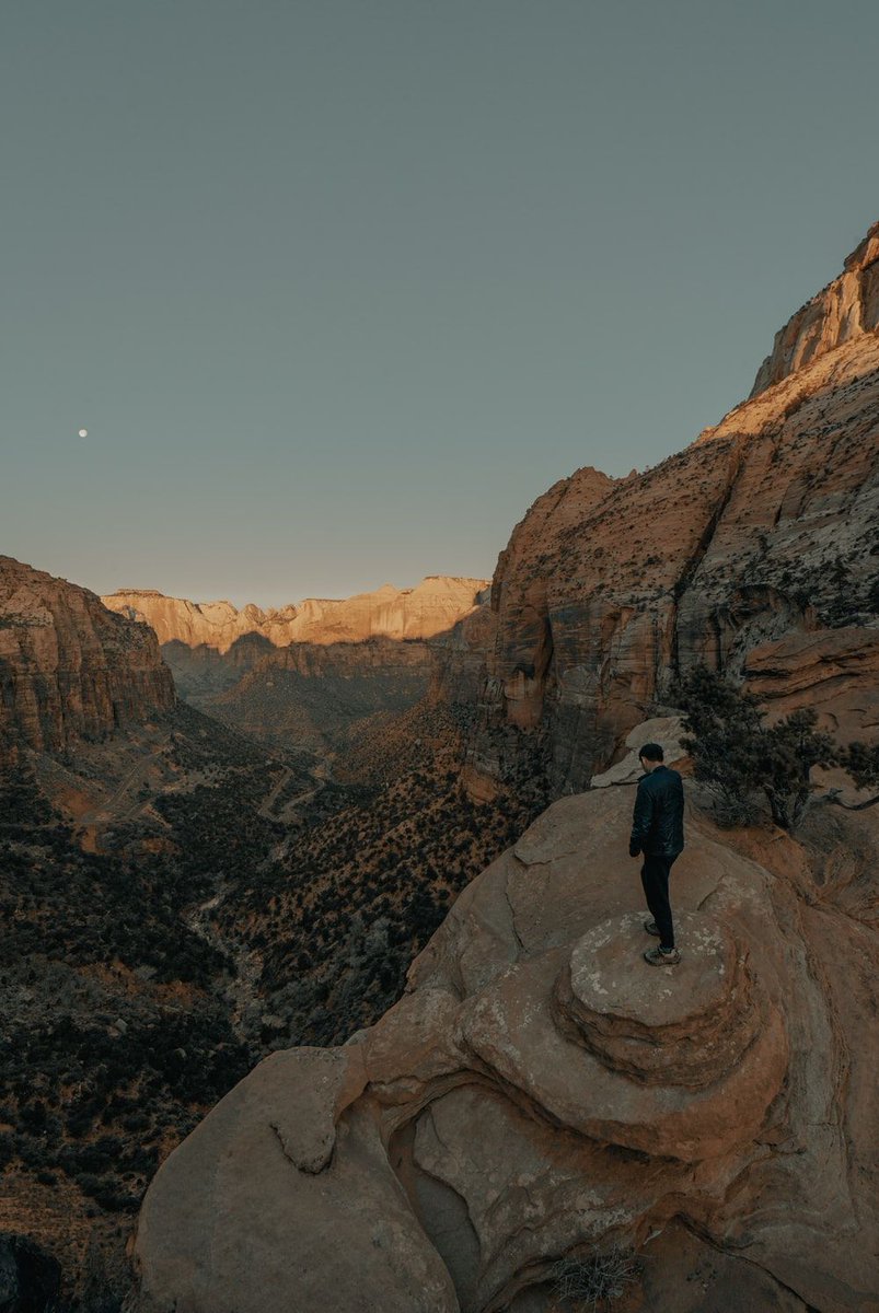 Unsplash tweet media