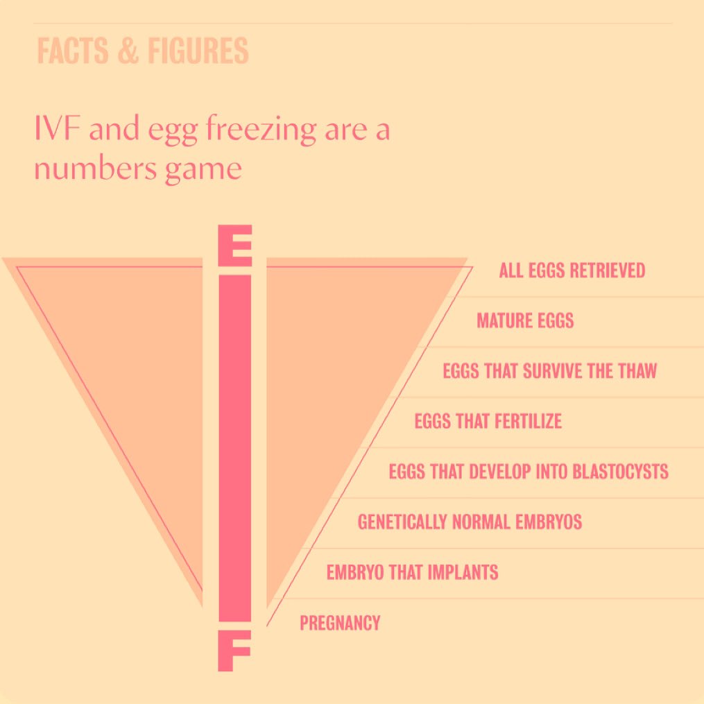 I have been asked WHY I decided to freeze my eggs many times. It’s important for women to understand the numbers game + egg math involved to achieve live birth. Making informed fertility decisions is based on your understanding of the egg funnel for freezing fertility treatments.