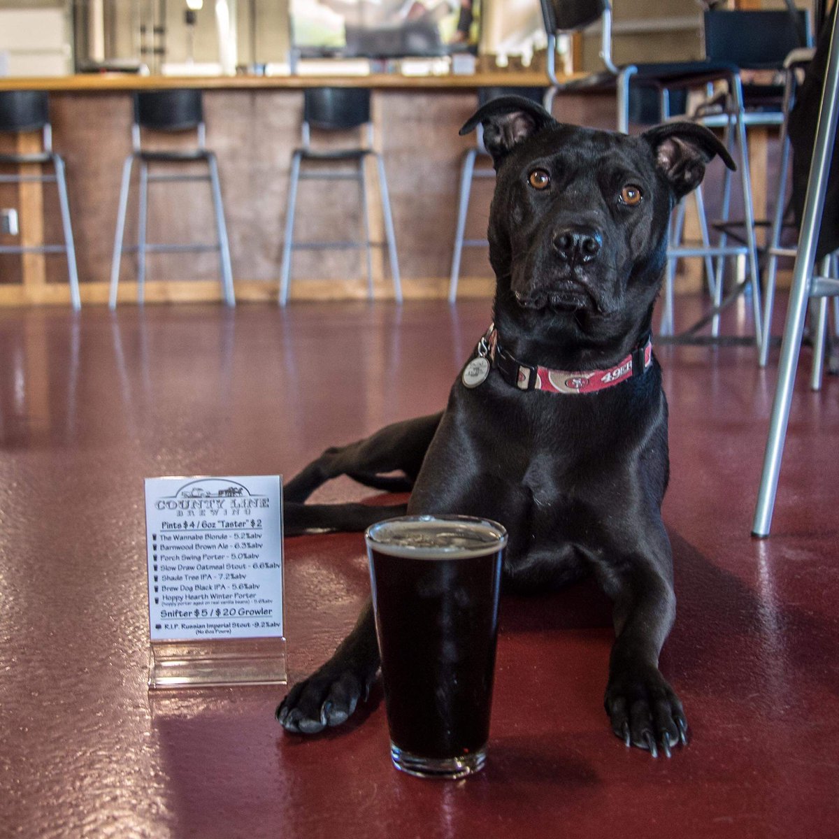 countylinebrew's tweet photo. We last brewed a big batch of Brew Dog Black IPA in 2016. Guess what? It's back and it's time for a throwback post of the original Brew Dog Stella! Cheers! #hardworkdeservesreward #craftbeer #idahocraft #idahobrewersunited #thisisboise #beer #brewdogblackipa #whoisreadyforspring https://t.co/CoObWIGFg0