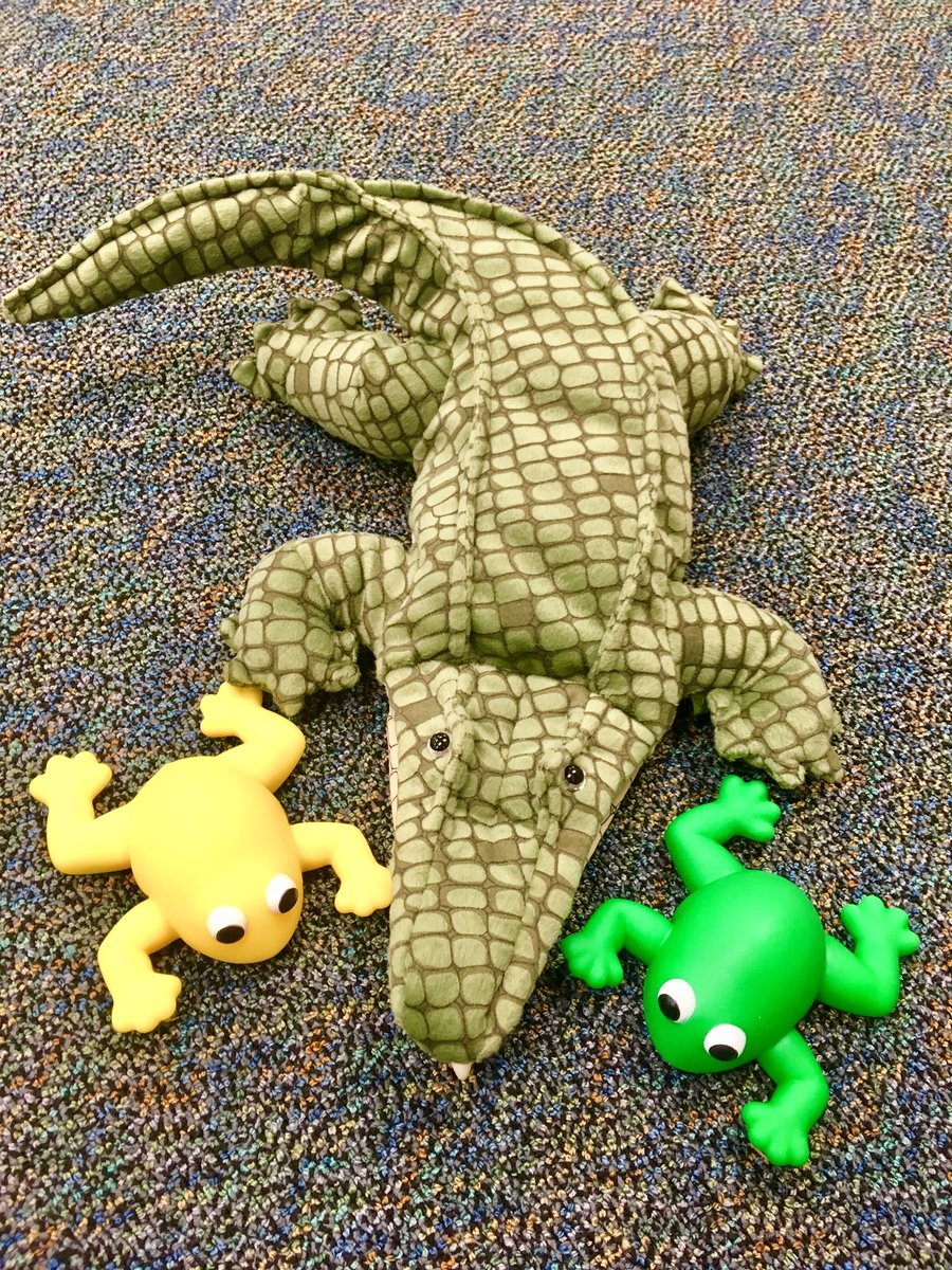 MrsYubaile's tweet photo. Meet “Sir ChompsALot,” so named by my 5th graders. 👑 @cwilliams3679, they told me they were just learning about the alligator-frog food chain today! We totally planned that together, right??! 🤣 #twehowl #twemusic #science #music #jumpfrogjump https://t.co/PlDmnvKEwn