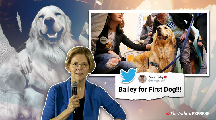 mariliacout's tweet photo. #BaileyForFirstDog https://t.co/k6OAWkzPzb