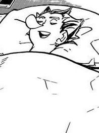 sleeping! bokuto and confused! akaashi