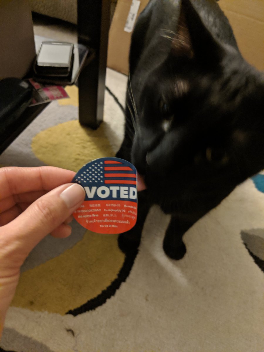 sara_anjuli's tweet photo. #CatsForBernie #LickTheVote https://t.co/8L7Qm2FL5s
